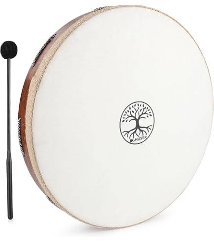 Amazon.com: Meinl Percussion 22
