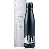 Chicago City Skyline Gifts, Chicago Gifts for Chicago Lovers, Skyline Map 17oz/500ml Stainless Steel Insulated Water Bottle, Perfect for Birthday & Christmas