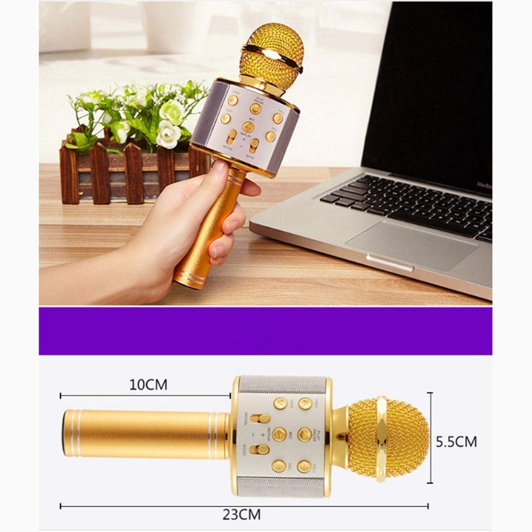 FANEO Wireless Bluetooth Microphone Audio Mobile Phone Karaoke Microphone Microphones