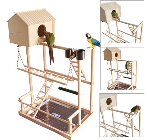 parrot stand wood