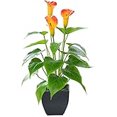 Beebel Artificial Flower Plants Calla Lily Faux Small Potted Plant with Black Pot Fake Bonsai Flower for Home, Office, Indoor and Outdoor Occasions Decor (Orange Fake Flower)