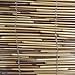 Radiance 3370728 Reed Woven Wood Bamboo Roll Up Window Blind, 36-Inch Wide by 72-Inch Long, Cocoa