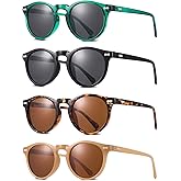 GGSTDDUP 4 Pack Retro Round Polarized Sunglasses Vintage Style UV Protection Vintage Unisex Sunglasses for Women Men
