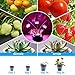Grow Lights, TGGOUS Grow Lamp Bulbs 15W Three Head with Separate Switch and Adjustable Gooseneck 360 Degree for Indoor Plants Flowers Vegetables Seed Starting Succulents Greenhouse (Silver)