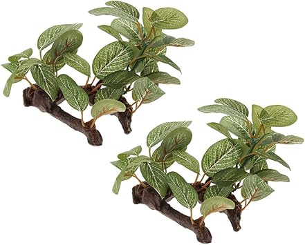 Amazon Cuticate 生息地の装飾のための2x爬虫類ビバリウム植物テラリウムリアルな植物 Cuticate 飼育ケース ケージ 通販