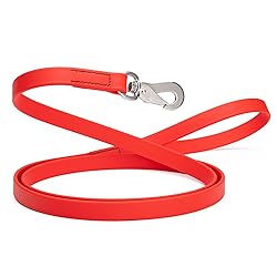 Randstark Biothane Waterproof Durable Dog Leash