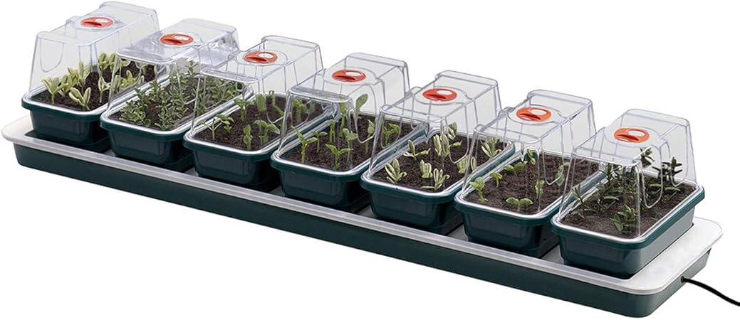 Beckmann Gal Anzuchtkasten Modell A Amazon De Garten