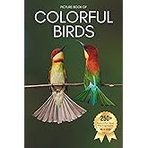 Picture Book of Colorful Birds: A Calming Collection of Real Bird Photography for Seniors Living with Memory Loss, Alzheimer’s, or Dementia — Gentle ... Beauty in Nature (Birds Coffee Table Books)