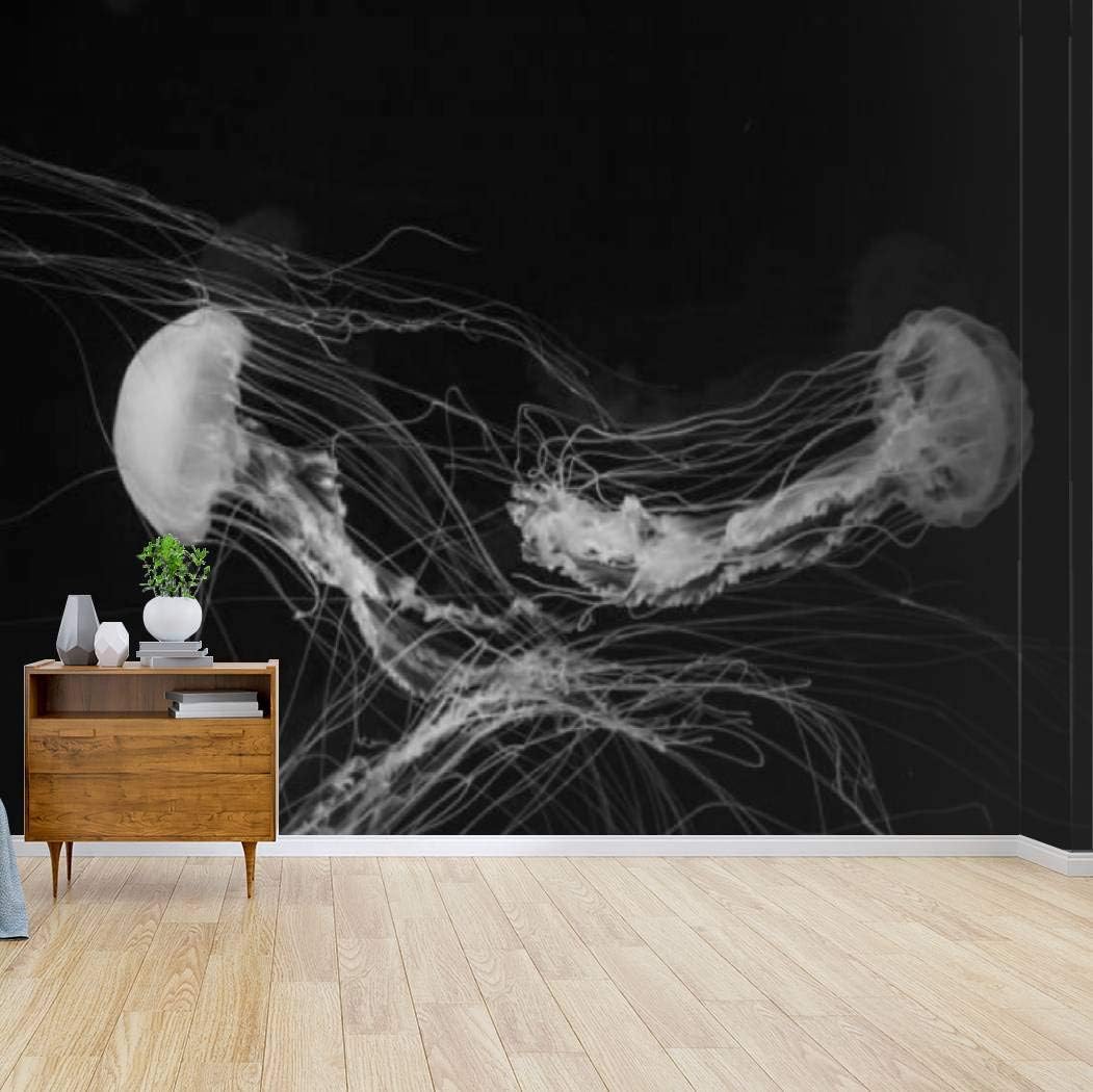 Amazon.com: RECETHROWS Wall Mural Jellyfish Black and Whites and