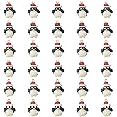 diyhub 30Pcs Resin Penguin Shaped Charms,Cartoon Animal Pendant for Jewery Making Hairpin Bracelet Necklace DIY