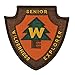 Senior Wilderness Explorer Disney Pixar Patch Scout Badge Up Craft Iron On Applique