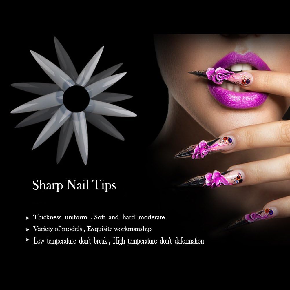 500 Pcs False Long Sharp Salon Nail Tips- Premium Box Package Full Cover Nail Art (Clear)