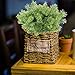 GTIDEA 4PCS Artificial Fake Plants Outdoor Faux Plastic Cedar Shrub Greenery Bushes Home Office Garden Table Centerpieces Decor