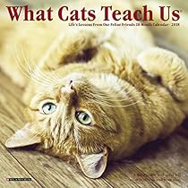 What Cats Teach Us 2018 Mini Wall Calendar