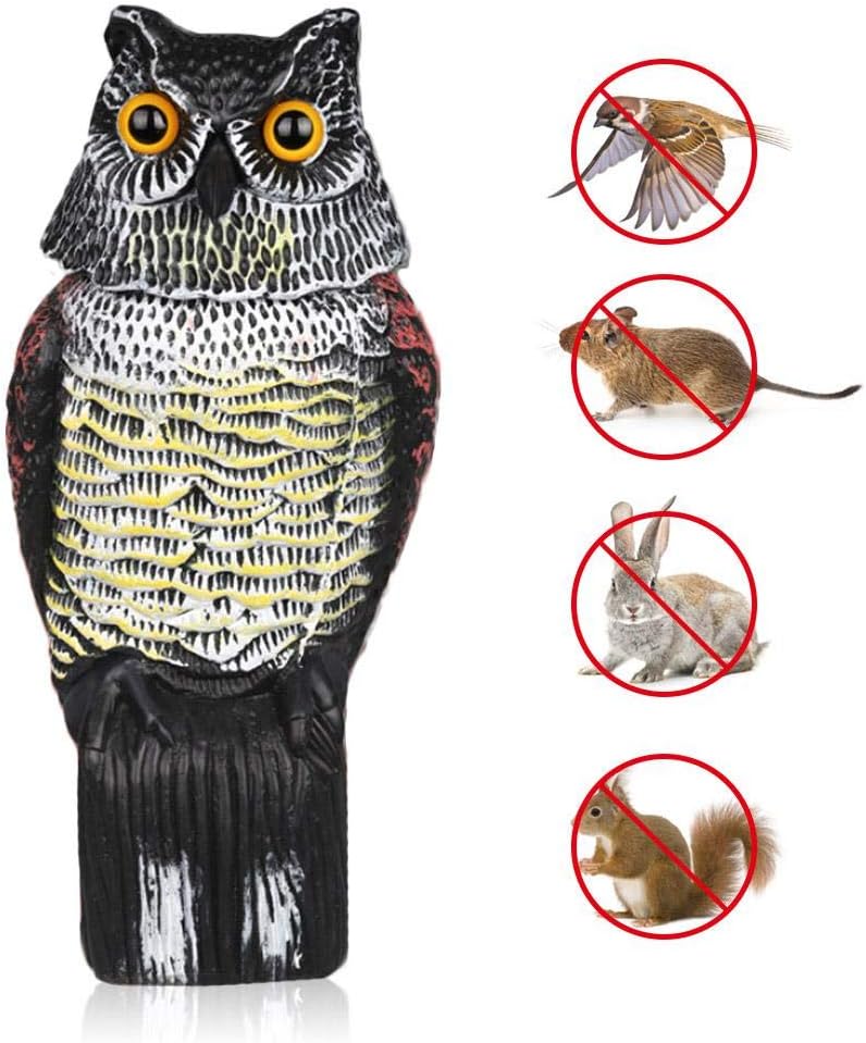 Best Garden Statue Scare Squirrel Away