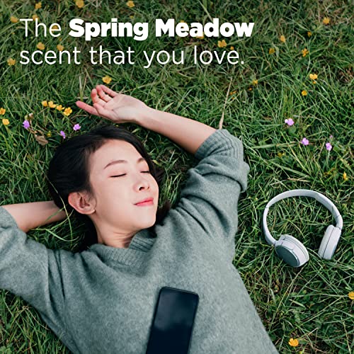 Tide PODS Liquid Laundry Detergent Pacs, Spring Meadow, 42 count