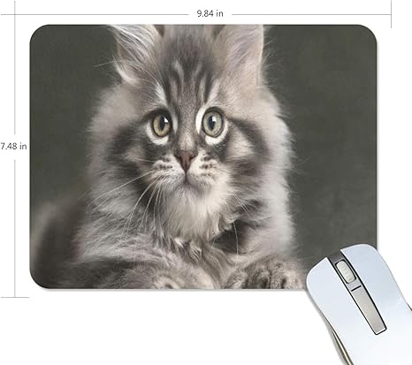 Amazon Com Mouse Pad Long Haired Gray Kitten Gaming Mousepad 3d