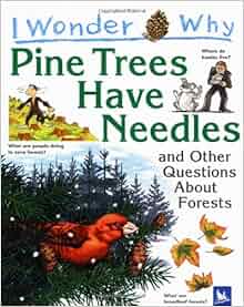 I Wonder Why Pine Trees Have Needles And Other Questions About Forests Jackie Gaff