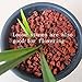 BCQLI 400g Sphere Bio-Filter Media for Marine and Freshwater Aquariums, Red Volcanic Rock