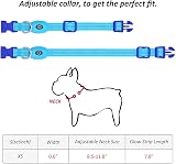 YFbrite Light Up Dog Collar Rechargeable LED Adjustable Blue XS view 5