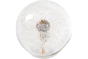 1st Heaven Dandelion Paperweight – Real Dandelion in Crystal Glass Ball, Unique Gift & Home Office Decor, Symbol of Luck, Hope, and Wishes for Birthday, Graduation, Wedding