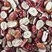 Freeze Dried Grape Snack by Homegrown Organic Farms – Organic Non-GMO Freeze-Dried Grape Chips – All-Natural Vegan Freeze Dried Fruit 1.2 oz