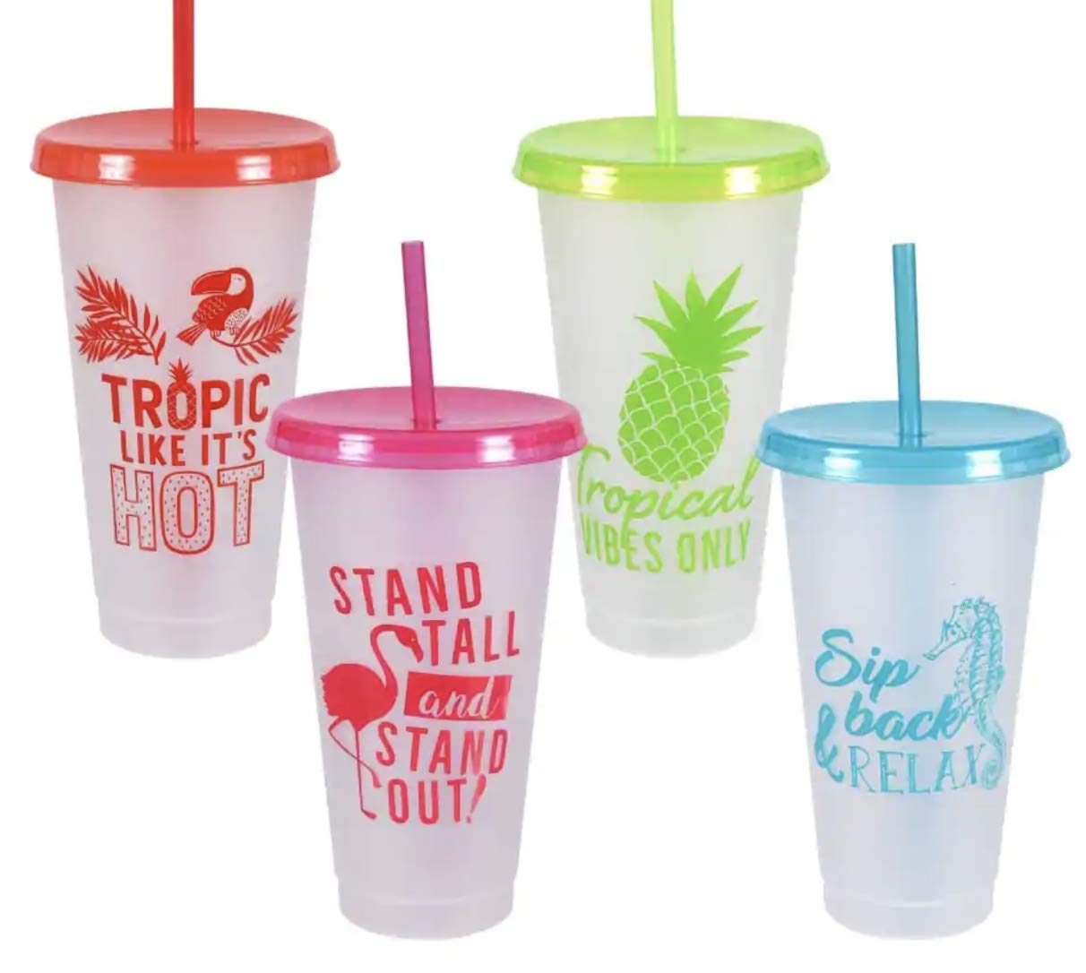 Reusable Plastic Tropical Cups with Lids and Straws, 2ct