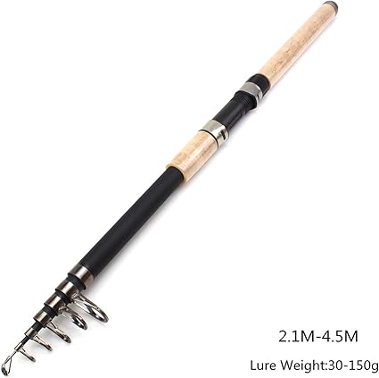 sea rock fishing rod