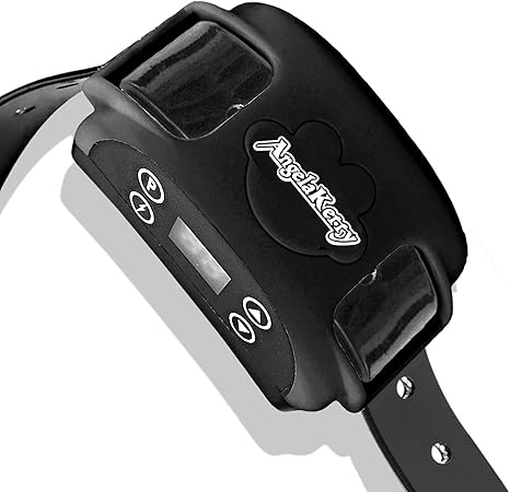 angelakerry dog fence