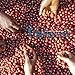 Premium Organic Ground Coffee By LifeBoost - Fair Trade Single Origin Nicaragua Gourmet Ground Coffee - 12 oz Ground Medium Roast
