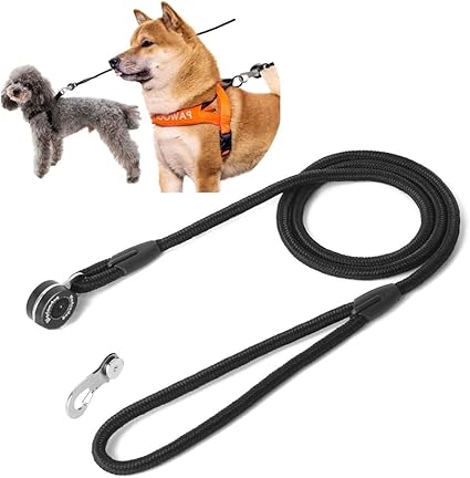 Top Nieuwste Magnetische Hond Leash Sterke Automatische Lock Carabiner Snelle Link Bevestiging Nylon Hond Leashes Klimmen Beveiligde Duurzame Hond Lead Voor Kleine Medium Honden Amazon Nl