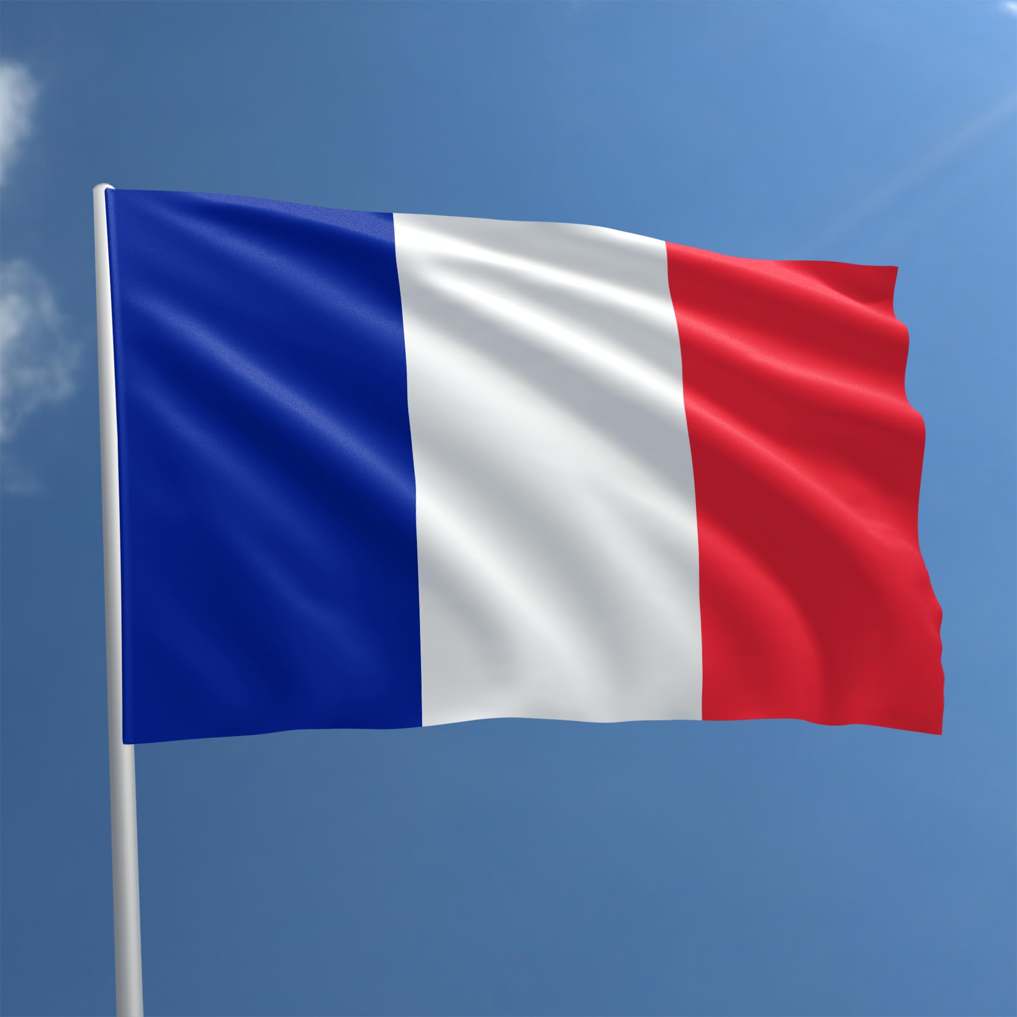 BullTek French Flag 90 x 150 cm - France Flag Polyester with Rod Loop Weather Resistant Vivid Colour and Suitable for Indoor and Outdoor Use Flag (FRANCE)