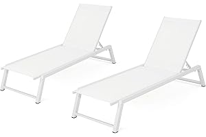 Christopher Knight Home Belle Outdoor Mesh Chaise Lounges, 2-Pcs Set, White Mesh / White