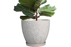 MPotTo 10 Inch Plant Pot Ceramic Planter Pot with Drainage Hole and Saucer Round Planter Large Flower Pot for Indoor Outdoor Plants Home Garden Decor White