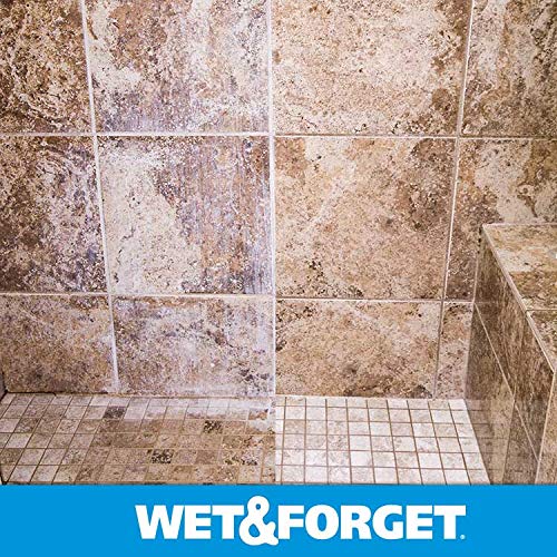 WET & FORGET SHOWER CLEANER WEEKLY APPLICATION REQUIRES NO SCRUBBING, BLEACH-FREE FORMULA, 64 OUNCE (PACK OF 1)
