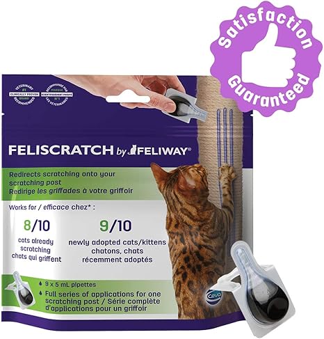 feliscratch amazon