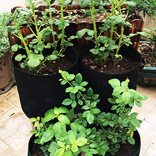 Alishebuy 1Pack Potato Grow Bag,Aeration Waterproof Fabric Sweet Potato Planter,Window Vegetable Peanut Growing Box Bucket Pot for Nursery Garden(Black) - Thumbnail 5