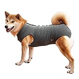 Dog Recovery Suit Abdominal Wound Puppy Surgical