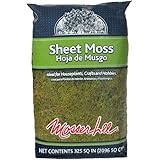 Mosser Lee ML0460 Natural Green Sheet Moss, 325 sq. in.