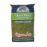 Mosser Lee ML0460 Natural Green Sheet Moss, 325