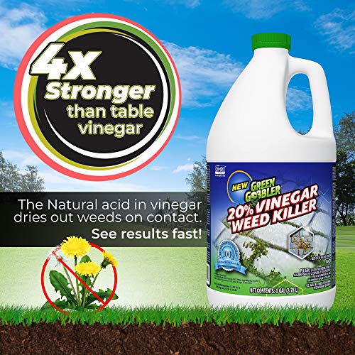 Green Gobbler 20 Vinegar Weed & Grass Killer Natural and Organic Weed & Grass Killer 5