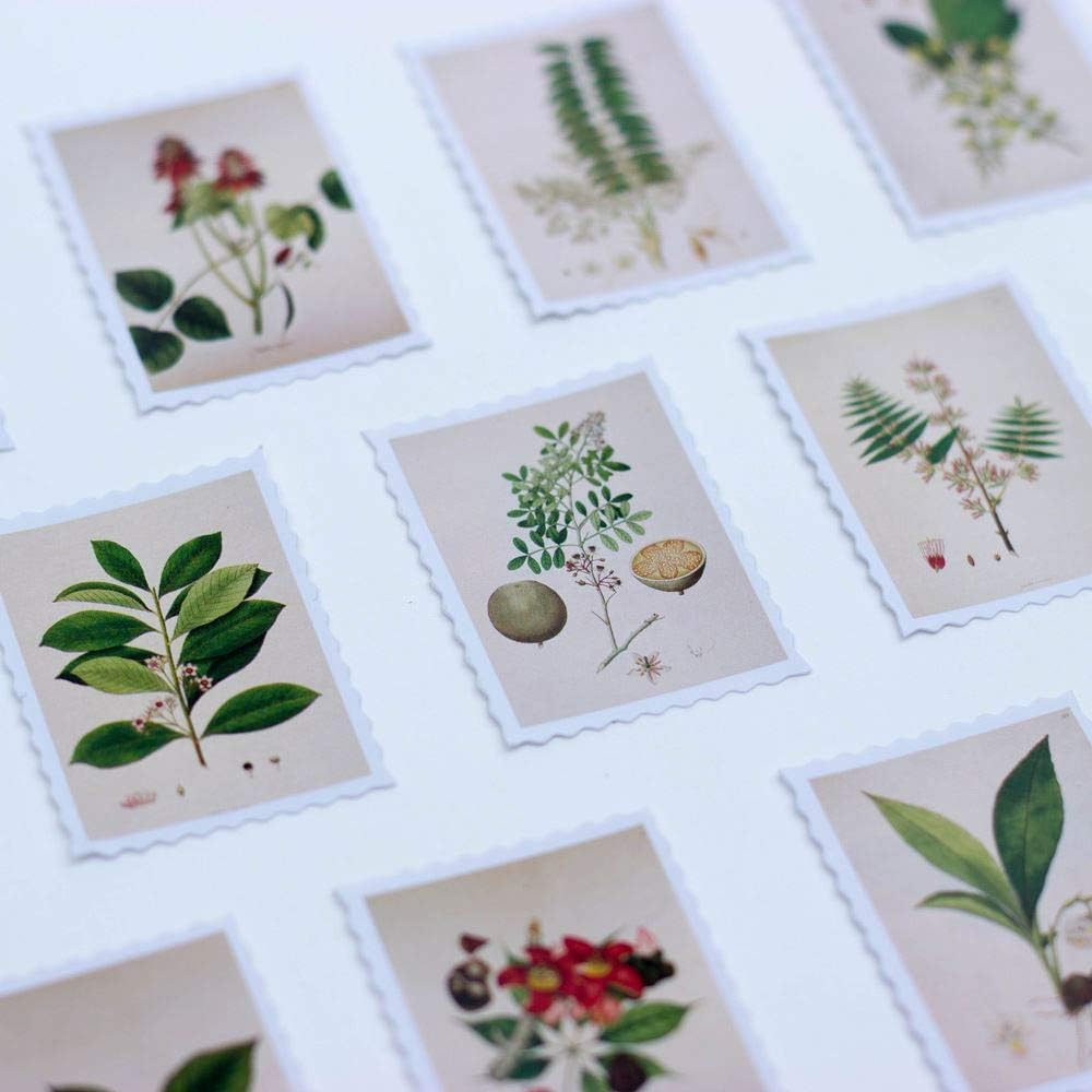 Luck Botanical Postage Style Stamp Stickers 45 Pieces Craft Scrapbooking
