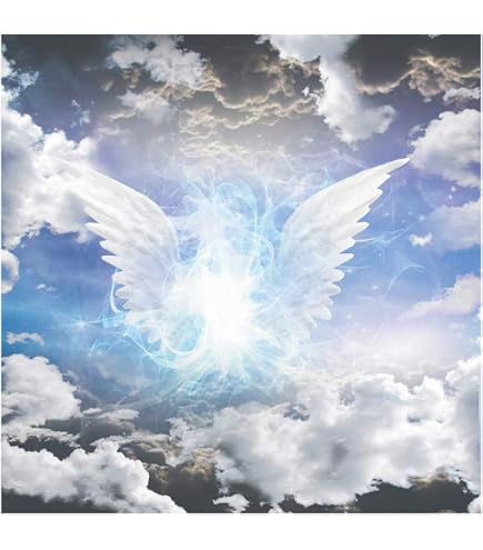 Heavenly Birthday Laeacco 5x3ft White Angel Wings Photography Backdrop ...