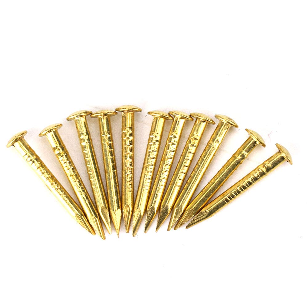 Brass Wall Pins, Round Head Brad Nails for Furniture Hinge Hardware, DIY Woodworking Projects, 15mm Length, 100 Pieces