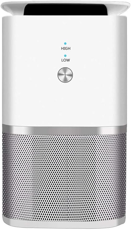 Ysccsy Luftreiniger Mit True Hepa Filter Geruchseliminator Fur Raucher Rauch Staub Schimmel Haus Und Heim Luftreiniger Amazon De Kuche Haushalt