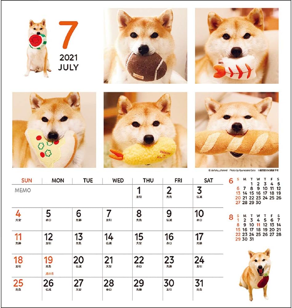 無料ダウンロード 柴犬 まる 壁紙 Hd壁紙画像の家