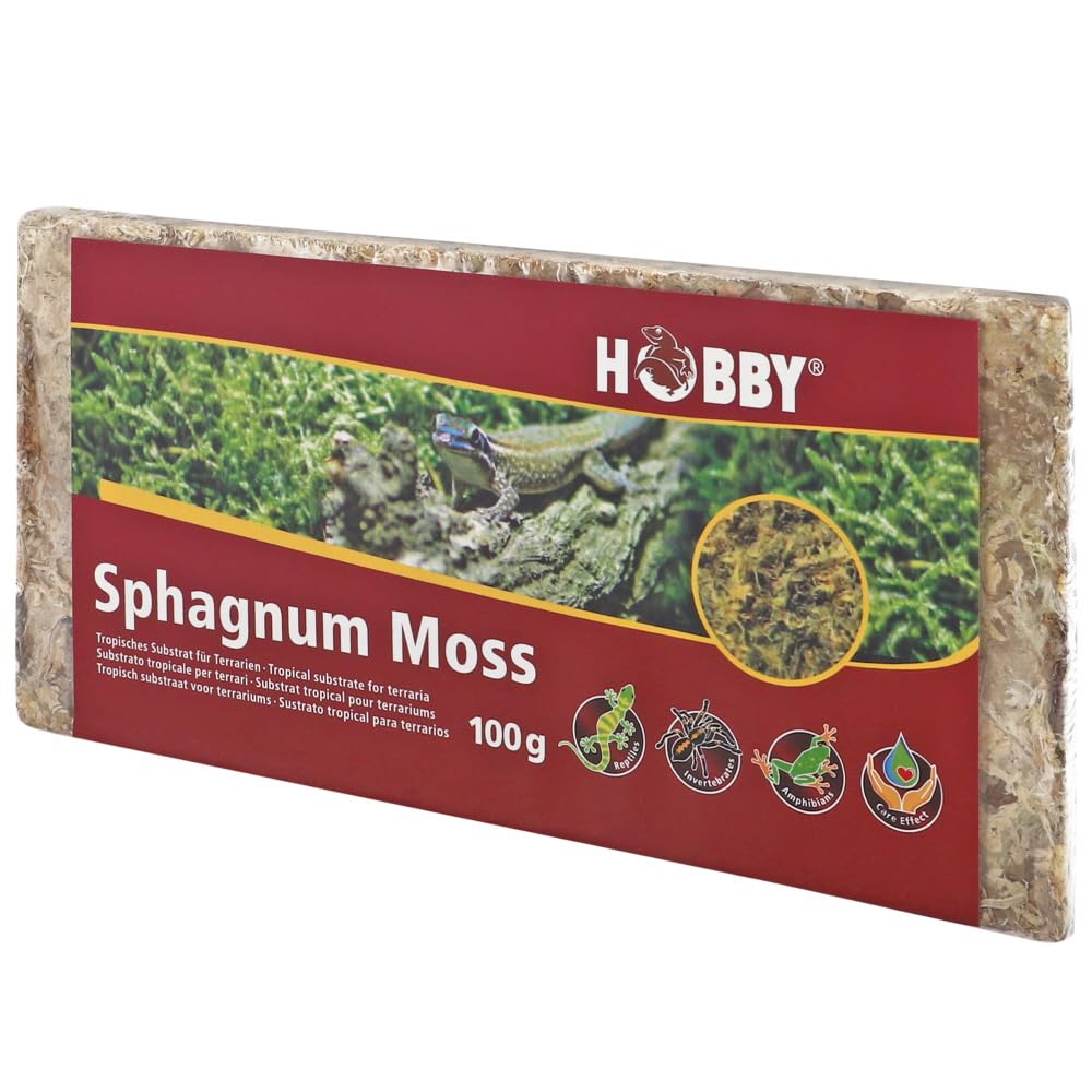 Hobby Terraristik Sphagnum Moss, 100 g, Tropical Substrate for Terrariums and Orchids, Moss for Terrariums, 100% Natural and No Chemical Additives, Moss to Increase Humidity