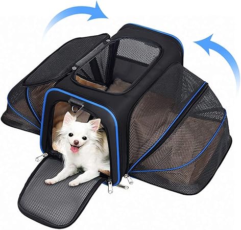 dual pet carrier