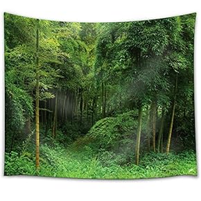 Looking Into a Bamboo Forest - Fabric Tapestry, Home Decor - 51x60 inches