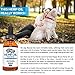 Happy Bruno 1000mg Hemp Oil for Dogs & Pets - Pain Relief, Arthritis, Hip and Joint, Seizures, Stress, Anxiety & Aggression - Calming, Organic, Natural, Dietary Supplement, Apply to Treats